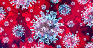 Coronavirus ( COVID19 ) – Un anno pieno di sofferenze.